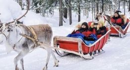 Authentic Lapland Christmas 2023