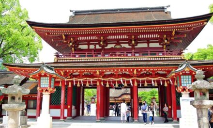 2025 Rugby Tour: Wales v Japan