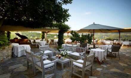 La Colonna Restaurant: A Rich Culinary Experience In The Heart Of Chianti