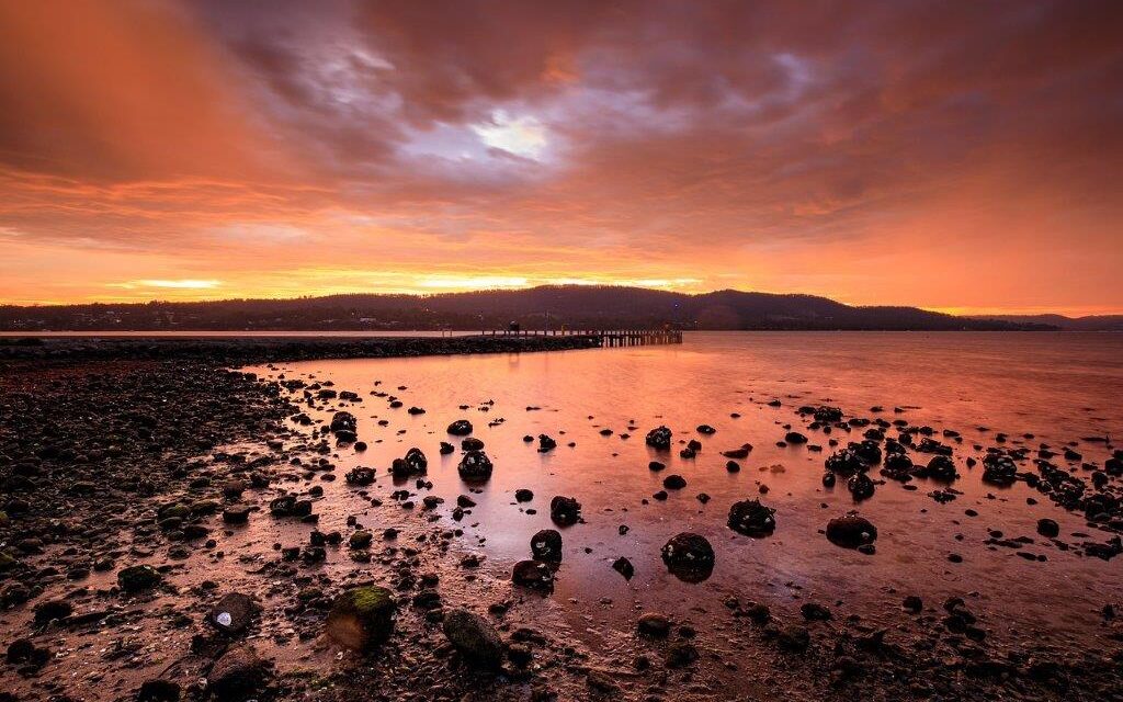 Cruise. Explore. Discover: Your Ultimate Antipodean Adventure