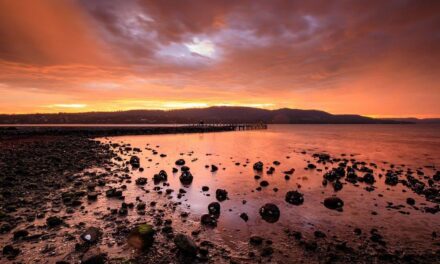 Cruise. Explore. Discover: Your Ultimate Antipodean Adventure
