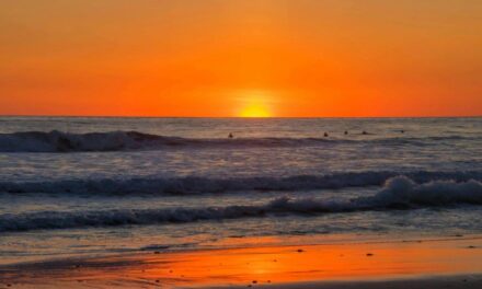 Costa Rica: Wild Beauty, Rainforest Dreams, Pure Adventure