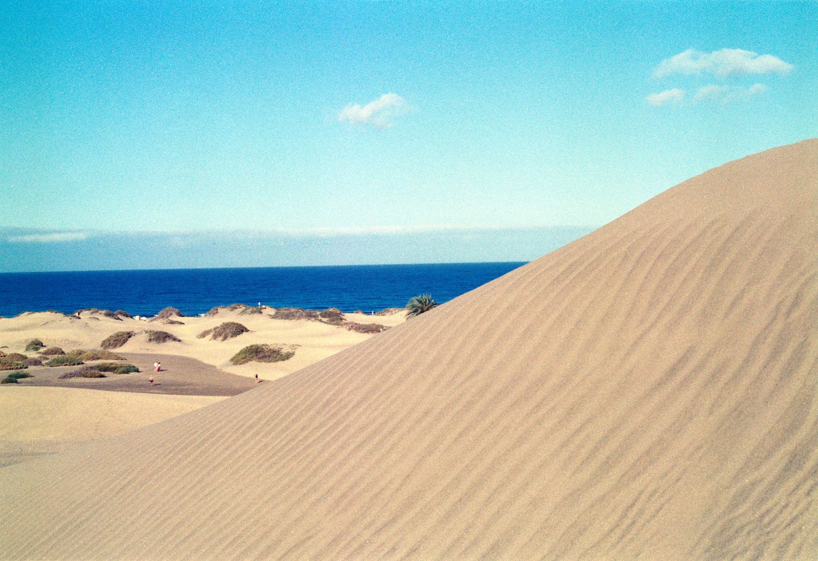 The Maspalomas dunes and the Atlantic, Gran Canaria