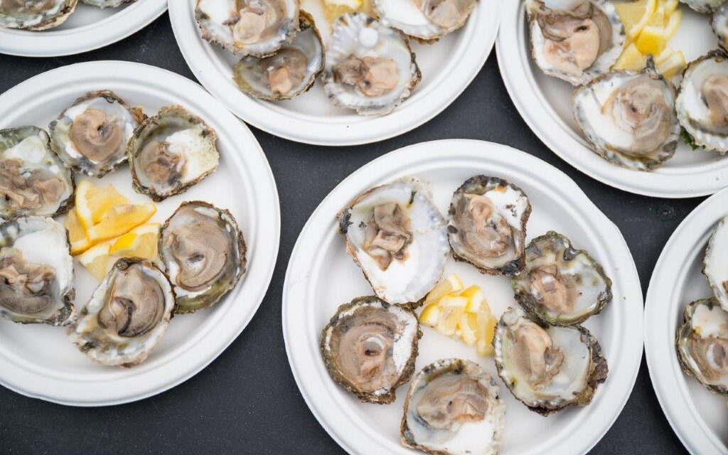 Falmouth Oyster Festival 2026: A Proper Cornish Celebration