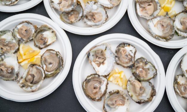 Falmouth Oyster Festival 2026: A Proper Cornish Celebration