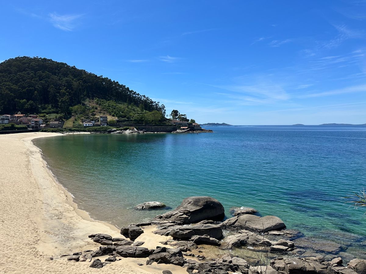 A sandy cove with clear water and pine trees on the Galician coast